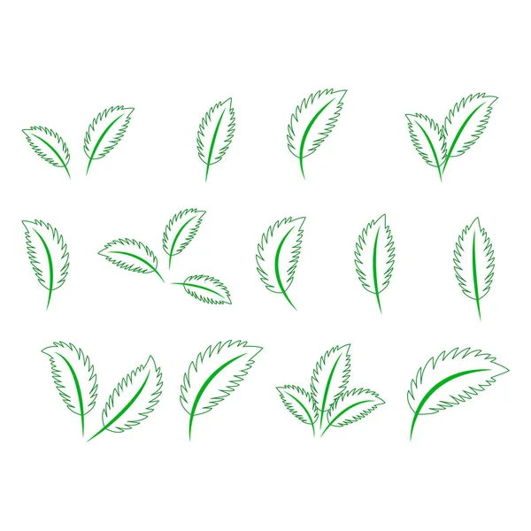 Set of green leaves design elements. Green sprout green leaves symbol icon set. — Stock Vector