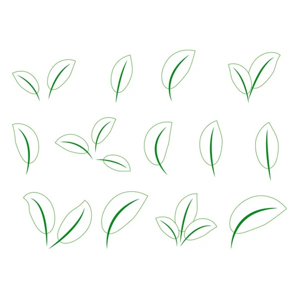 Set von grünen Blättern Design-Elemente. grüne Sprossen grüne Blätter Symbol-Set. — Stockvektor