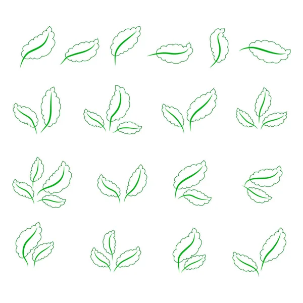 Set of isolated green leaves icons on white background — Stock Vector