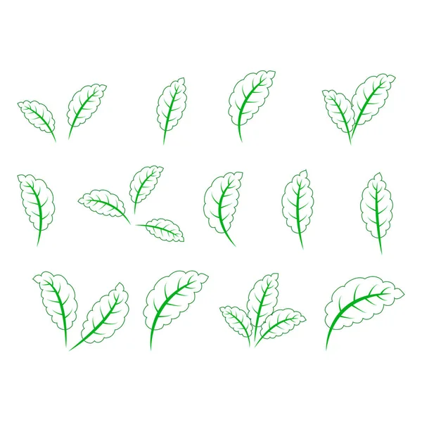 Set van geïsoleerde groene bladeren iconen op witte achtergrond — Stockvector