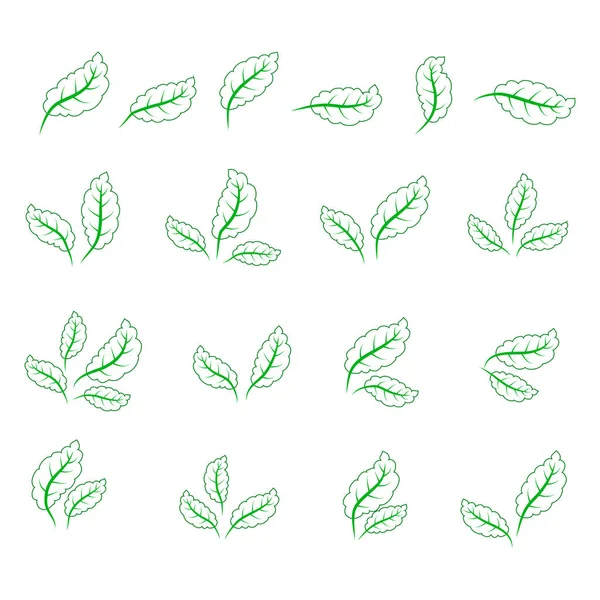 Set von grünen Blättern Design-Elemente. grüne Sprossen grüne Blätter Symbol-Set. — Stockvektor