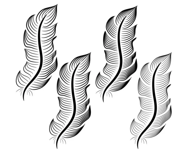 Collection of feather illustration, drawing, engraving, ink line art — Stock Vector