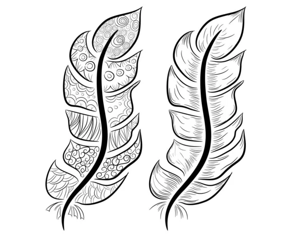 Cute hand drawn feather collection in scandinavian style. — Stock Vector