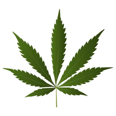 Esrar esrar yaprağı oluk simgesi, ilaç, ilaç