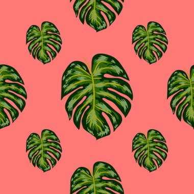 Tropikal Desen. Monstera Parlak El Çizilmiş Yaprakları ile Dikişsiz Doku.