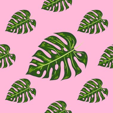 Yaprakların kusursuz deseni canavar. Tropik palmiye yaprakları. Vektör arkaplanı.