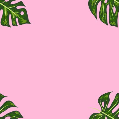 Yaprakların kusursuz deseni canavar. Tropik palmiye yaprakları. Vektör arkaplanı.