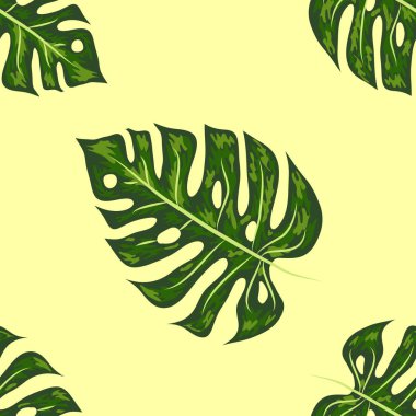 Monstera, yeşil güzel detaylı yaprakları sorunsuz bir desen içine monte.