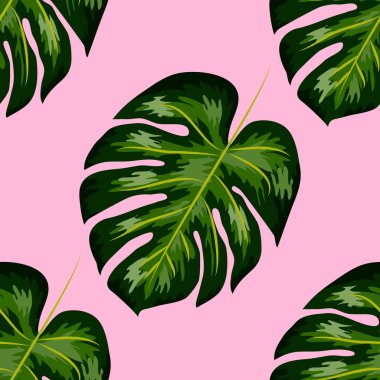 Yaprakların kusursuz deseni canavar. Tropik palmiye yaprakları. Vektör arkaplanı.