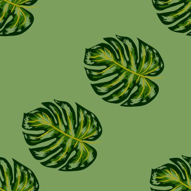 Yaprakların kusursuz deseni canavar. Tropik palmiye yaprakları. Vektör arkaplanı.