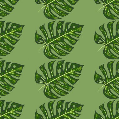 Monstera, yeşil güzel detaylı yaprakları sorunsuz bir desen içine monte.