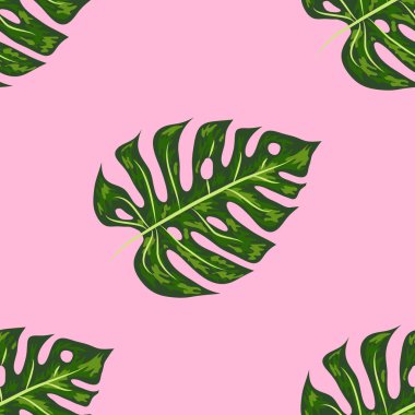 Yaprakların kusursuz deseni canavar. Tropik palmiye yaprakları. Vektör arkaplanı.