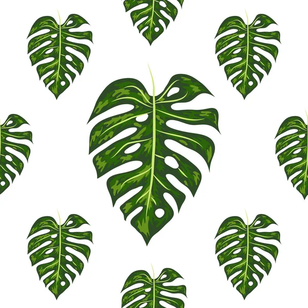 Daun palem tropis, monstera, vektor daun hutan latar belakang pola musim panas berbunga yang mulus - Stok Vektor