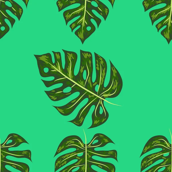 Monstera, hojas detalladas hermosas verdes ensambladas en un patrón sin costuras . — Vector de stock