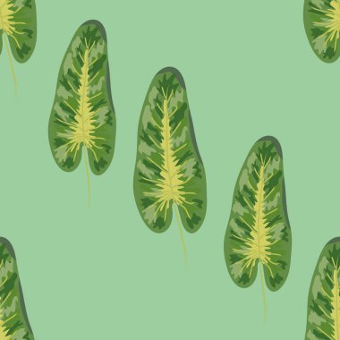 Tropikal palmiye yaprakları, monstera, orman yaprağı sorunsuz çiçek yaz desen arka plan