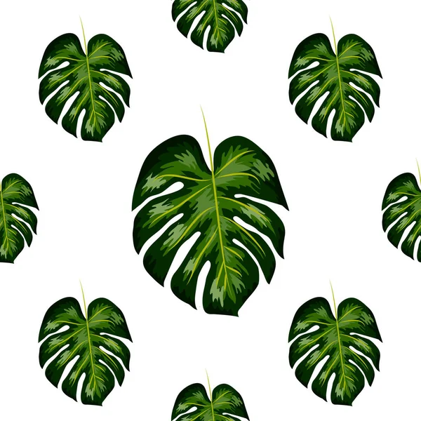 Patrón sin costuras de hojas monstera. Hojas tropicales de palmera. Fondo vectorial. — Vector de stock