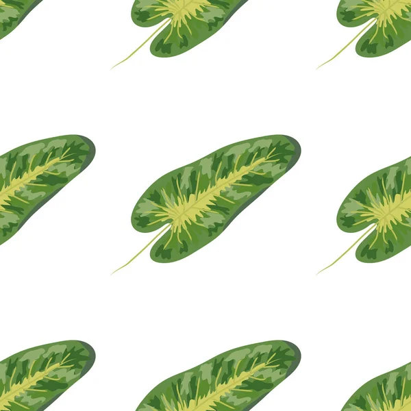ディフェンバキアの熱帯緑の葉。夏のエキゾチックな自然シームレスなパターン. — ストックベクタ