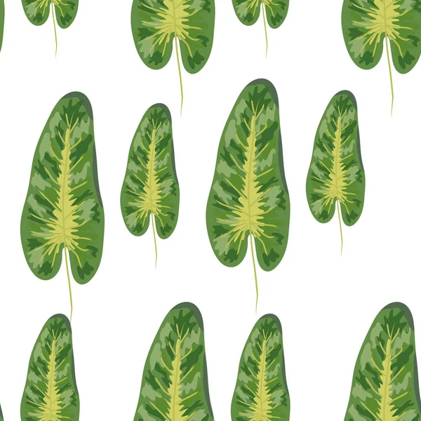 Hojas verdes tropicales de dieffenbachia. Verano exótico patrón natural sin costuras . — Vector de stock