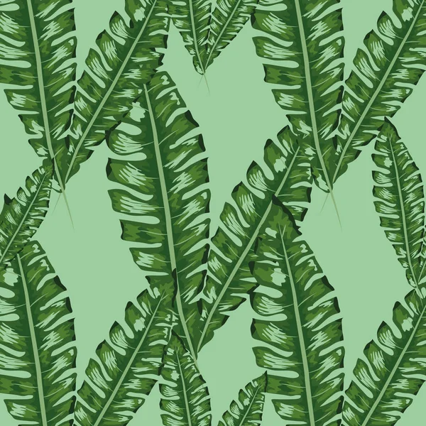 Patrón tropical sin costuras con hojas de plátano . — Vector de stock