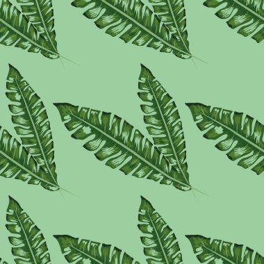 Tropikal muz yeşil yaprakları dikişsiz desen pembe arka plan. Egzotik duvar kağıdı