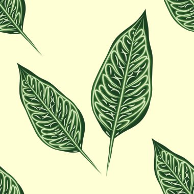 tropikal bitkilerin dikişsiz desen. Dieffenbachia dalları ile tropikal zemin tekrarlayın. Egzotik orman duvar kağıdı