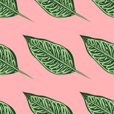 Dikişsiz desen, koyu yeşil, beyaz ve kahverengi Ficus Elastica açık arka plan yaprakları