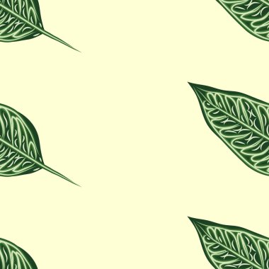 Dikişsiz desen, koyu yeşil, beyaz ve kahverengi Ficus Elastica açık arka plan yaprakları