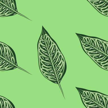 Hafif arka planda dikişsiz tropikal Ficus Elastica deseni. Egzotik baskı. Vintage motifler.