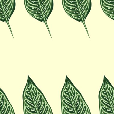 Yeşil arka plan üzerinde ficus benjamin yaprakları ile dikişsiz desen