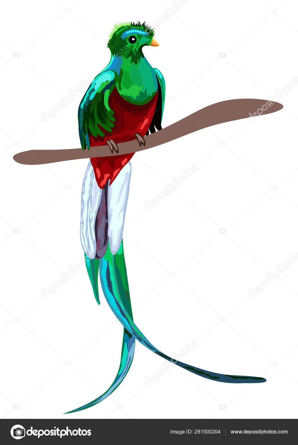 Pajaro quetzal imágenes de stock de arte vectorial | Depositphotos