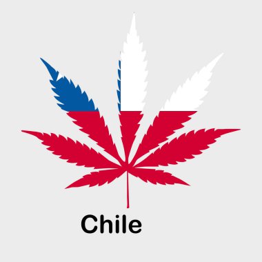 Kenevir yaprağı şeklinde bayrak. Esrar yasallaştırma kavramı, Şili kenevir