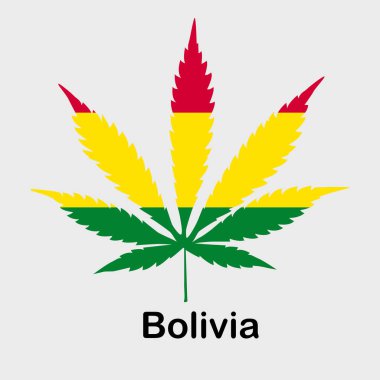 Kenevir yaprağı şeklinde bayrak. Bolivya'da esrar, esrar yasallaştırma kavramı