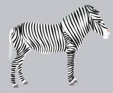 Eskiz vahşi hayvan zebra baskı, siluet. Vahşi Afrika hayvanları