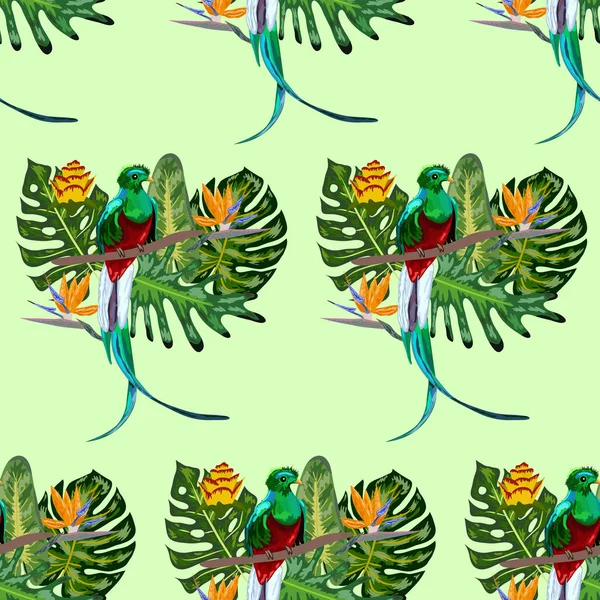Seamless pattern of endangered species of birds Magnificent resplendent quetzal sitting on a branch against the backdrop of a tropical foliage and flowers, design — Stock Vector