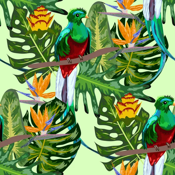 Bezszwowy wzór zagrożonych gatunków ptaków wspaniały olśniewający Quetzal siedzi na gałęzi na tle tropikalnych liści i kwiatów, projektowanie — Wektor stockowy