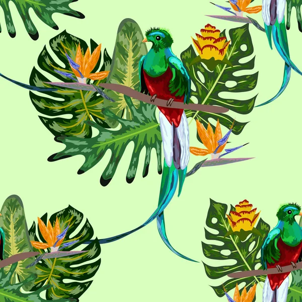 Seamless pattern of endangered species of birds Magnificent resplendent quetzal sitting on a branch against the backdrop of a tropical foliage and flowers, design — Stock Vector