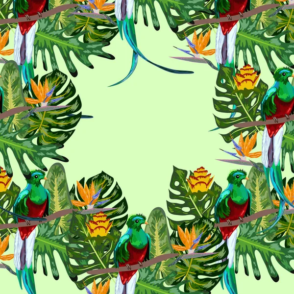 Seamless pattern of endangered species of birds Magnificent resplendent quetzal sitting on a branch against the backdrop of a tropical foliage and flowers, design — Stock Vector