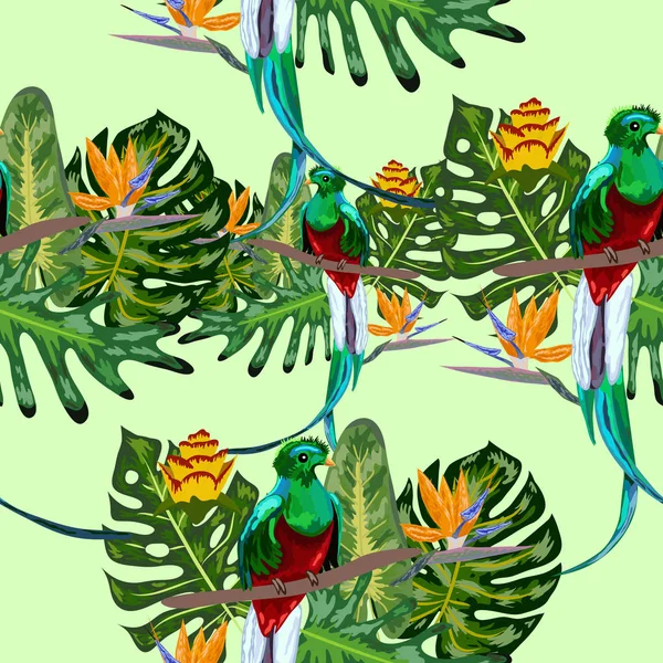 Bezszwowy wzór zagrożonych gatunków ptaków wspaniały olśniewający Quetzal siedzi na gałęzi na tle tropikalnych liści i kwiatów, projektowanie — Wektor stockowy