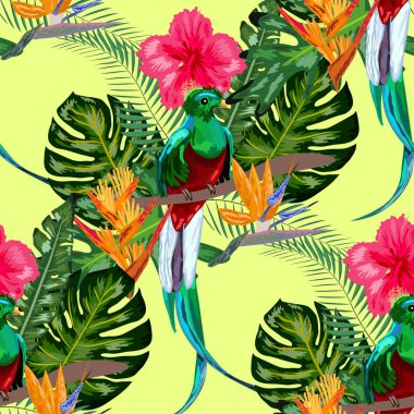 Nesli tükenmekte olan kuş türlerinin kusursuz deseni Muhteşem görkemli quetzal tropikal bir yeşillik ve çiçek, tasarım fonuna karşı bir dal üzerinde oturan