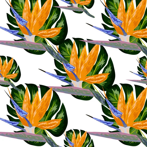 Strelitzia minta. Trópusi virág, virágos klaszter varrat nélküli mintázat. Gyönyörű háttér trópusi virágok és pálmalevelek, növény-és levél. — Stock Vector