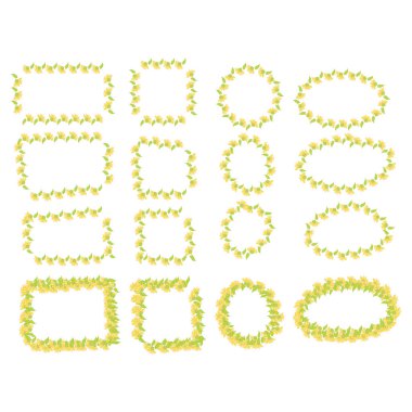 Çerçeve ler kümesi. Ihlamur, çiçekler ve yapraklar, şifalı bitki, elle çizilmiş