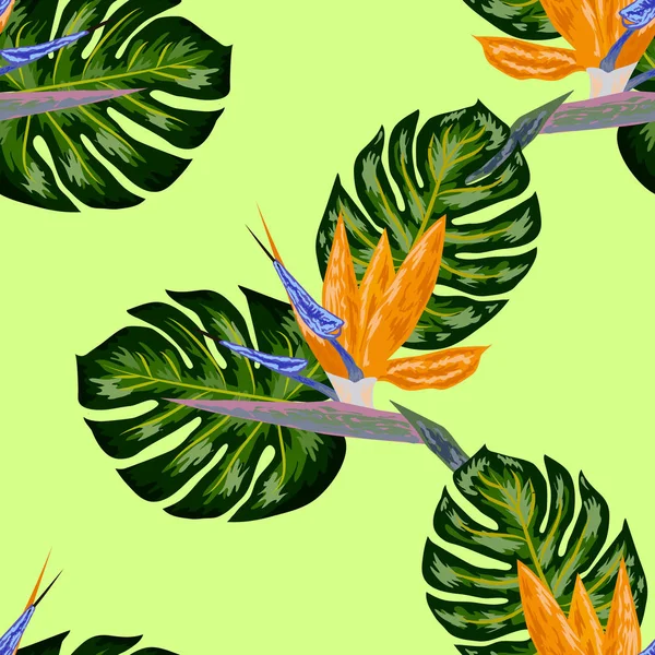 Royal Strelitzia. Flores tropicales, pájaro del paraíso. Hermoso fondo de patrón de selva floral sin costuras, impresión exótica — Vector de stock