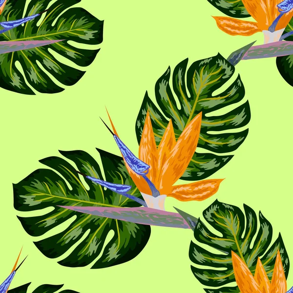 Royal Strelitzia. Flores tropicales, pájaro del paraíso. Hermoso fondo de patrón de selva floral sin costuras, impresión exótica — Vector de stock