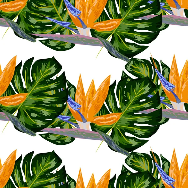 Strelitzio vzor. Tropická rostlina, kvetoucí hvězdokupa. Krásné pozadí s tropickými květy a palmovými listy, rostlinným a listím. — Stockový vektor