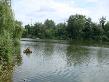 Bulutlu gökyüzü, Kümülüs bulutları, söğüt ve sazlıkile suda yansımaları ile yeşil orman ve göl ile manzara