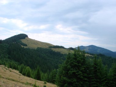 Güzel dağ manzarası - Karpat Dağları'nın panoramik manzarası, dağ Karpatlarının Yaz fotoğrafı.