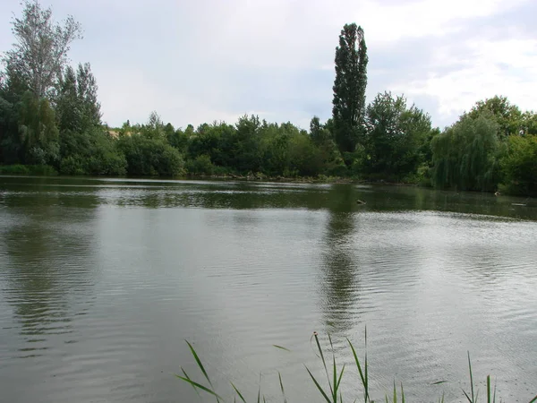 Paesaggio con cielo nuvoloso, nuvole di cumulo, foresta verde e lago con riflessi in acqua con salici e canneti — Foto Stock