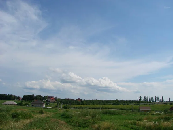 Pozadí fotografie jasně svěžího travního pole pod modrým slunným nebem. — Stock fotografie