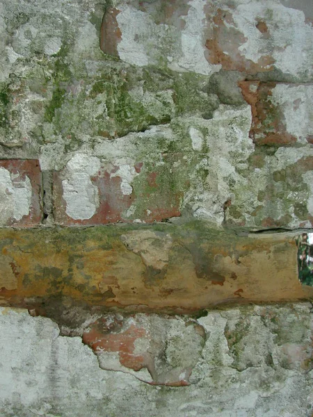 抽象背景 - 被洪水损坏、覆盖着青苔和霉菌的红色陶瓷砖老墙. — 图库照片