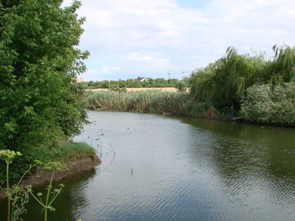 Paesaggio con cielo nuvoloso, nuvole di cumulo, foresta verde e lago con riflessi in acqua con salici e canneti — Foto Stock